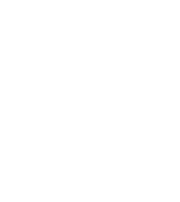 Alive since 2009 model negru pe tricou