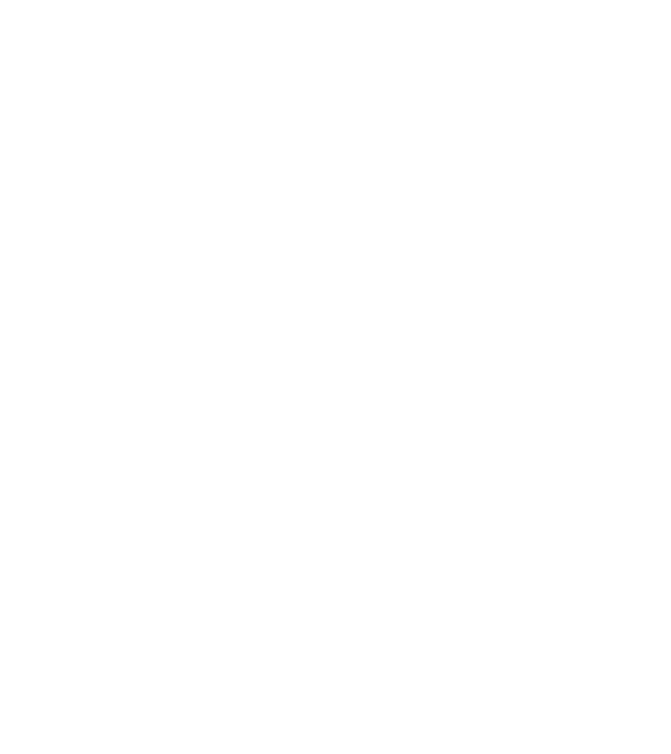 România Dracula 2 model negru pe tricou