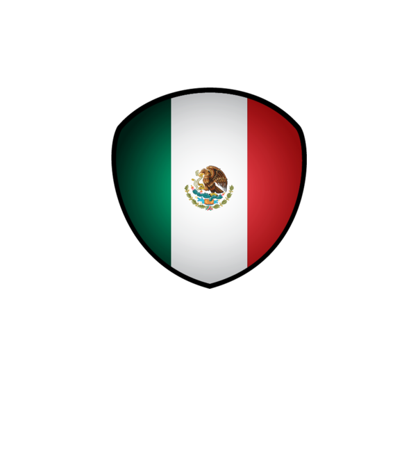 MEX-jabulani-flag model alb pe tricou