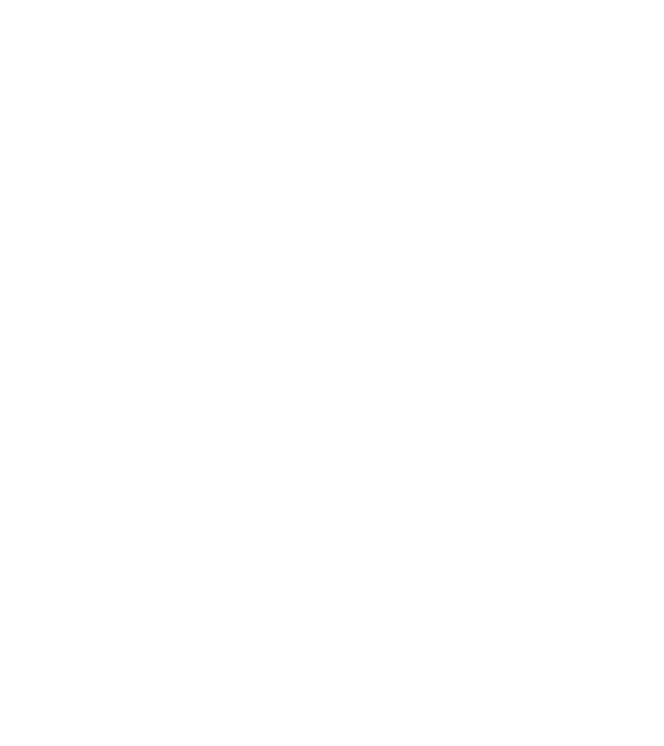 nimeni nu e perfect, dar stăpânii de chivava sunt foarte aproape model negru pe tricou
