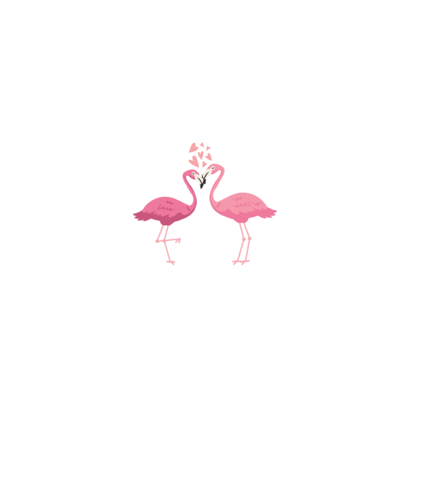 FLAMINGO ÎNDRĂGOSTIȚI model roz deschis pe tricou