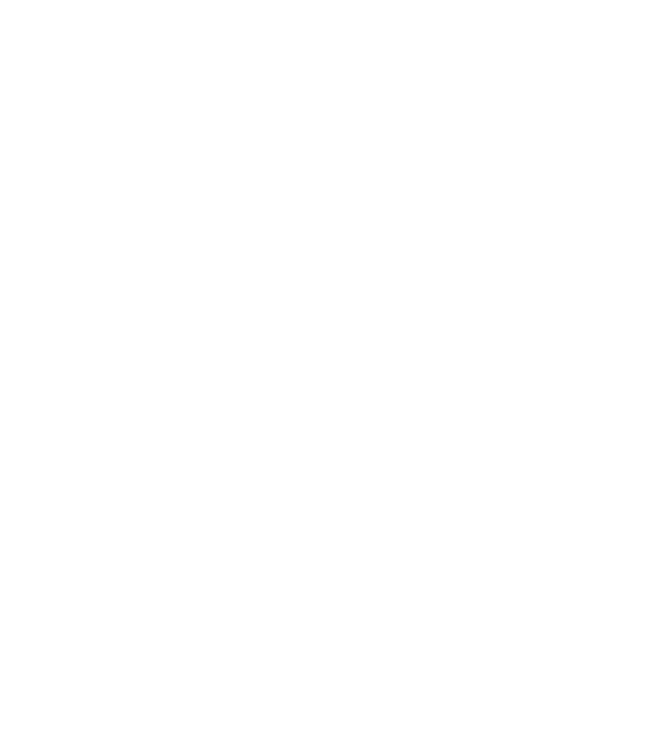 Camion 2. model gri pe tricou