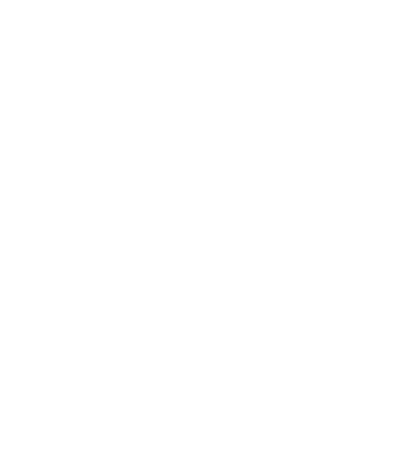 LOVE Border Collie model turcoaz pe tricou