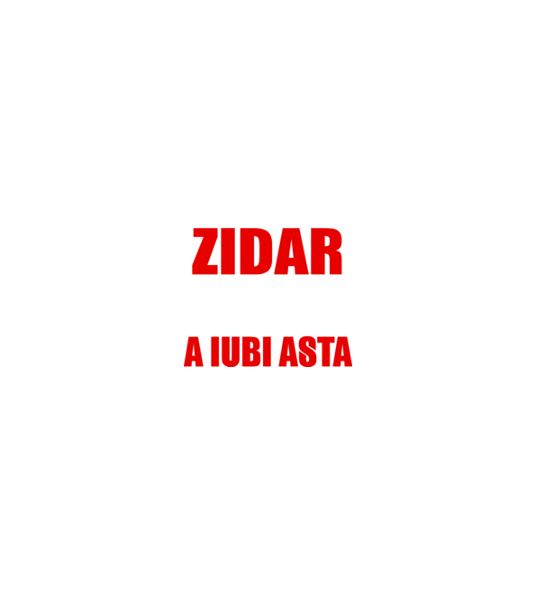 Sunt suficient de priceput pentru a fi ZIDAR și suficient de nebun pentru a iubi asta model negru pe tricou