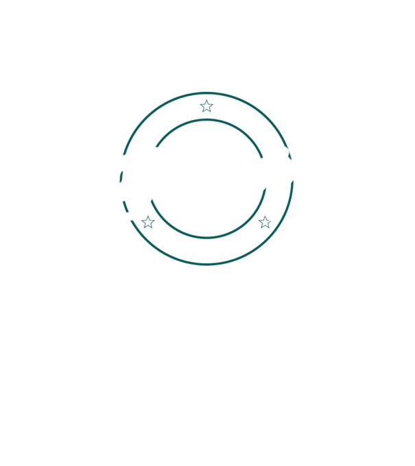 patinaj model turcoaz pe tricou