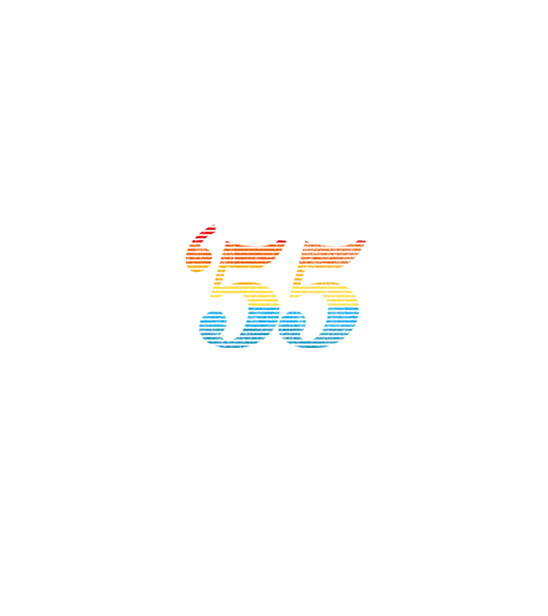 Retro Birthday 1955 model negru pe tricou