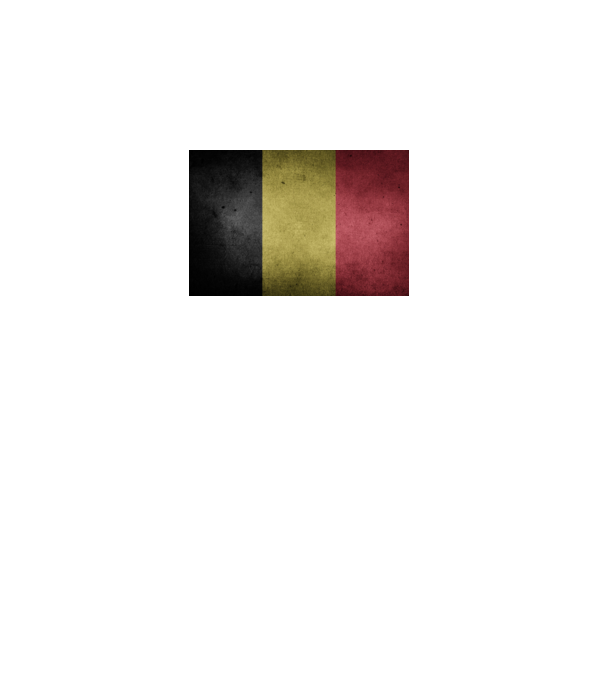 BELGIUM model gri închis pe tricou