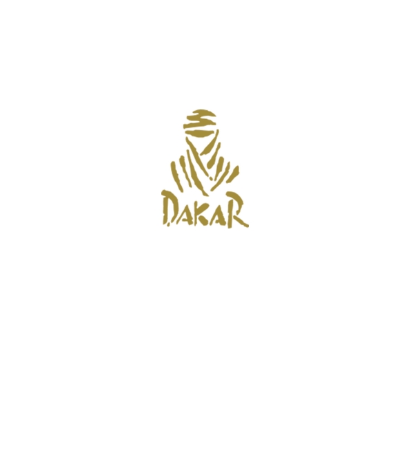 Dakar Rally model gri pe tricou