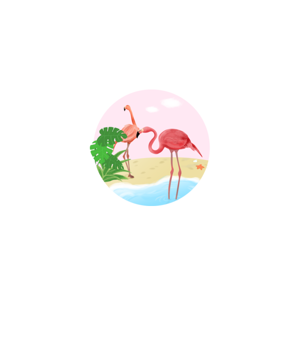 Flamingo model alb pe tricou
