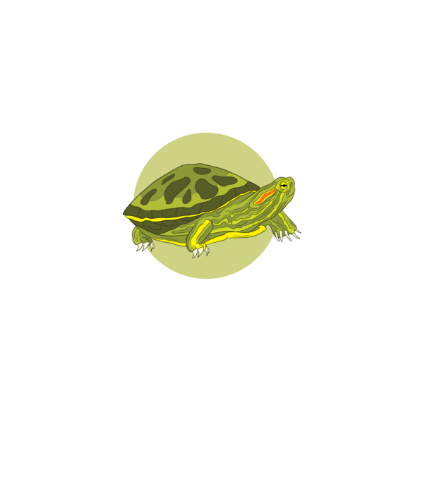 Turtle model negru pe tricou
