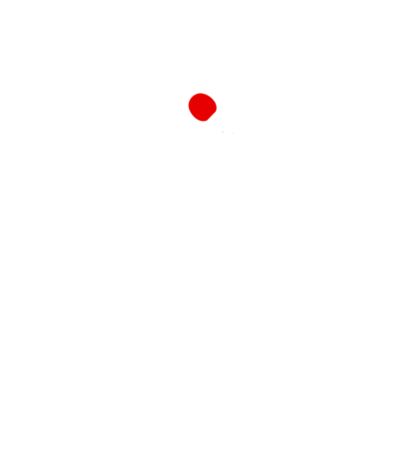 You just got served model turcoaz pe tricou