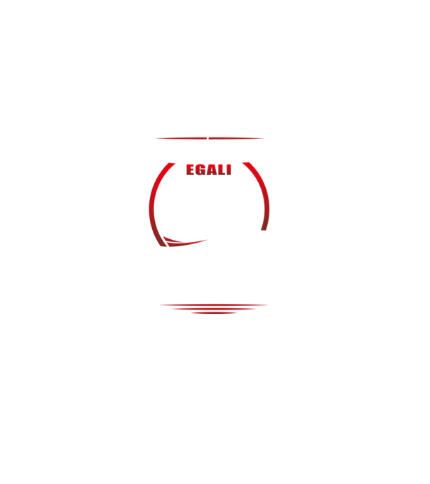 toți se nasc egali, dar numai cei mai buni devin rockeri model negru pe tricou