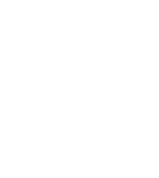 nu contează cine ești, de unde vii, care este stilul tău, dacă conduci un Volkswagen, ești fratele meu model negru pe tricou