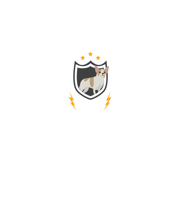 serviciu de securitate - securitate - persistență - 24 de ore pe zi model negru pe tricou