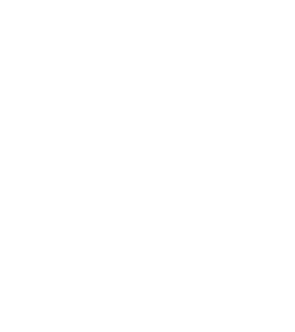 Im not a princess im a scientist model gri pe tricou