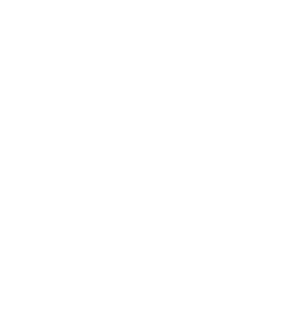 LOVE Havanese model negru pe tricou