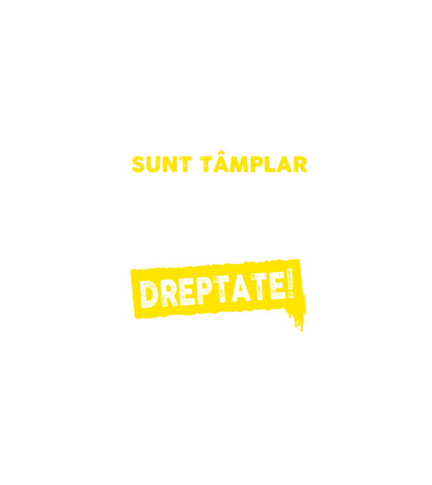 Sunt tâmplar, ca să economisim timp, să reținem că am întotdeauna dreptate model negru pe tricou