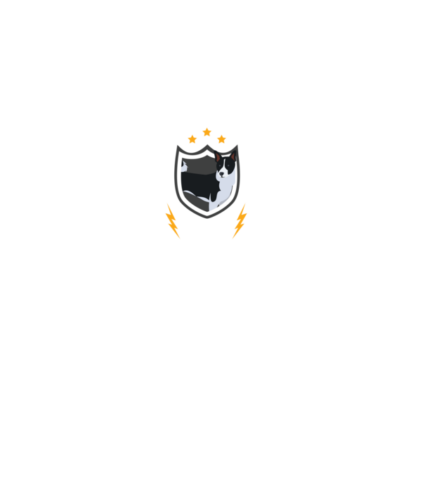 serviciu de securitate - securitate - persistență - 24 de ore pe zi model negru pe tricou