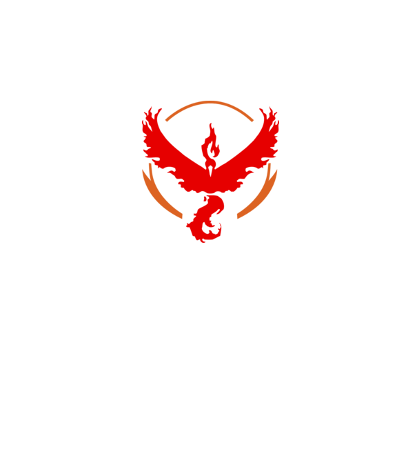 Valor team logo model alb pe tricou