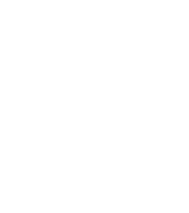 LOVE VIȘLĂ model gri pe tricou