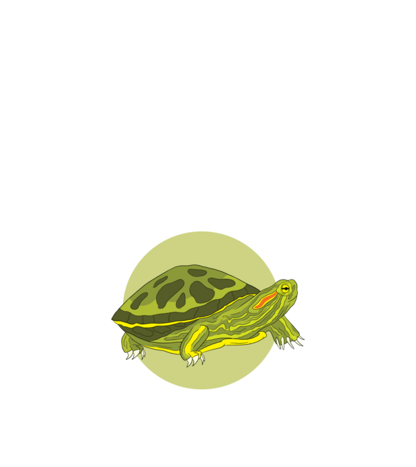 Turtle model negru pe tricou