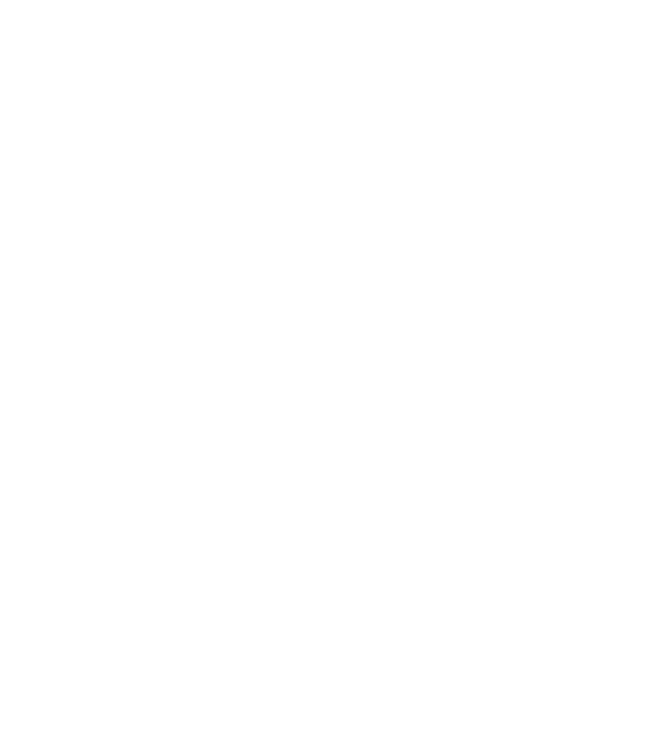 România made in model negru pe tricou