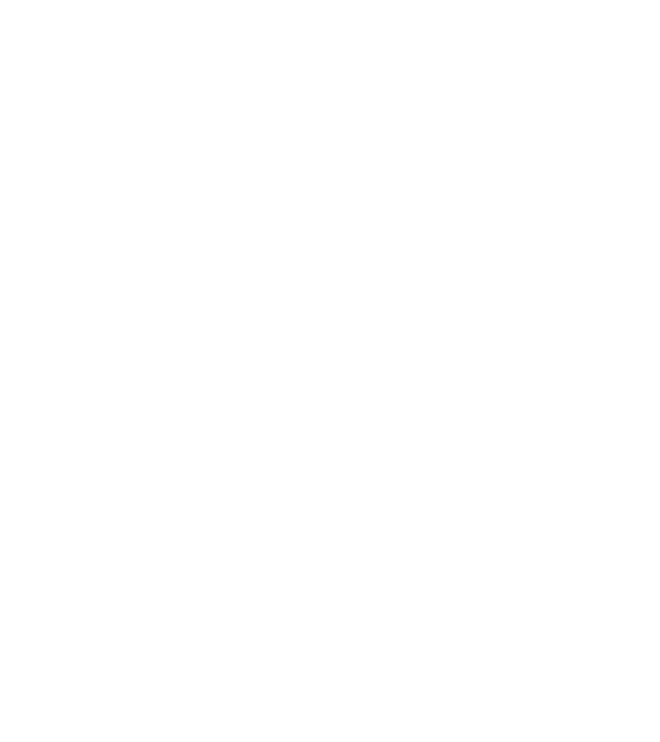 LOVE Boston Terrier model turcoaz pe tricou