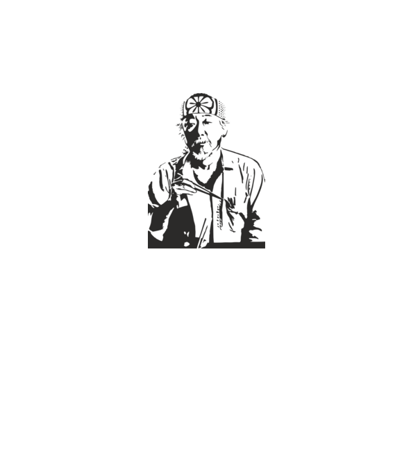 Miyagi cobra kai model alb pe tricou