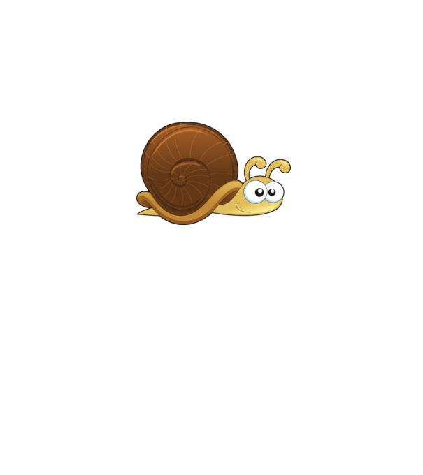 Snail model gri pe tricou