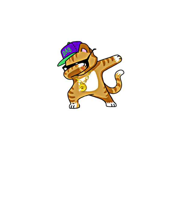 Cool Cat DAB model gri pe tricou