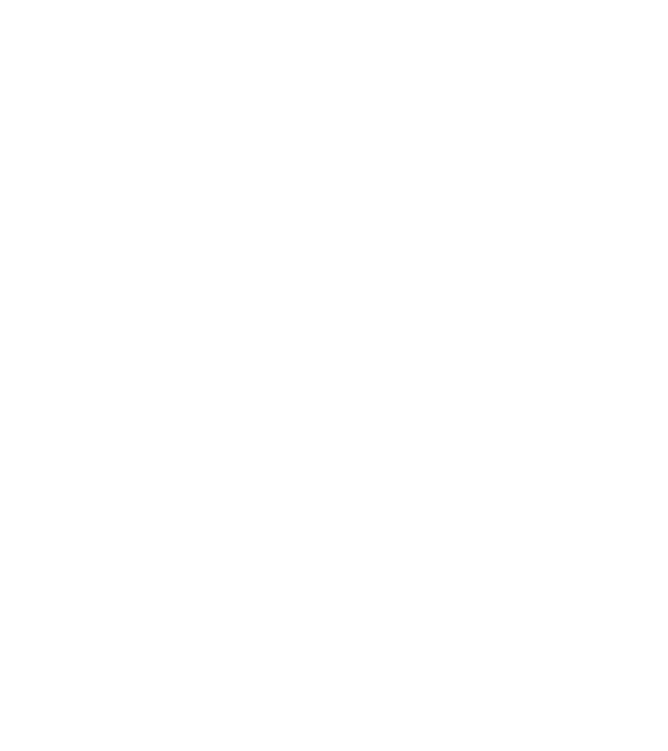 Așa arată un stăpân de Border Collie foarte chipeș model negru pe tricou