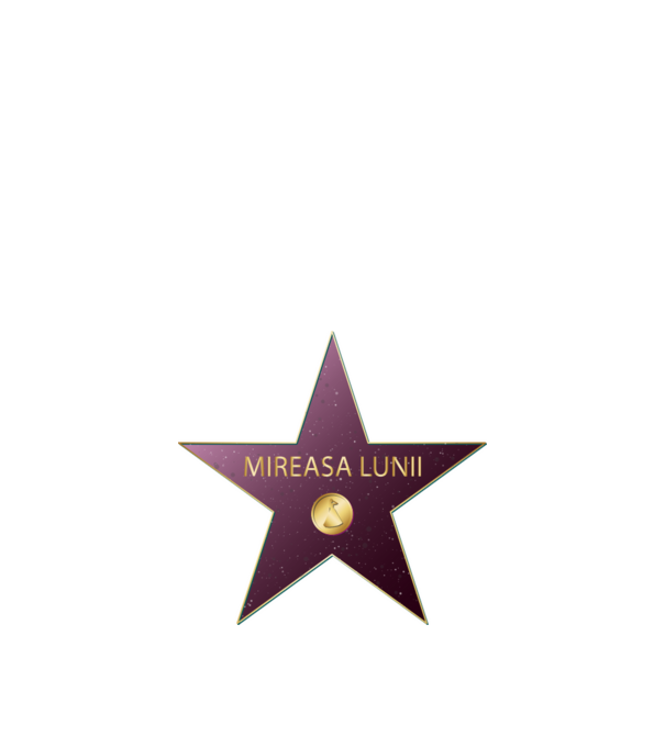 Mireasa lunii model albastru închis pe tricou