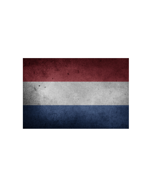 NETHERLANDS model alb pe tricou