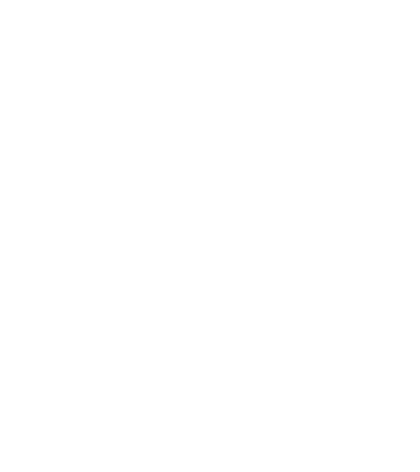 Mrs 2 model negru pe tricou