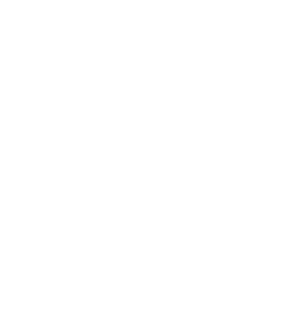 Heartbeat line Border Collie model albastru jeanși pe tricou