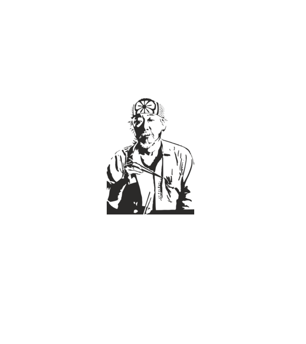 Miyagi cobra kai model alb pe tricou