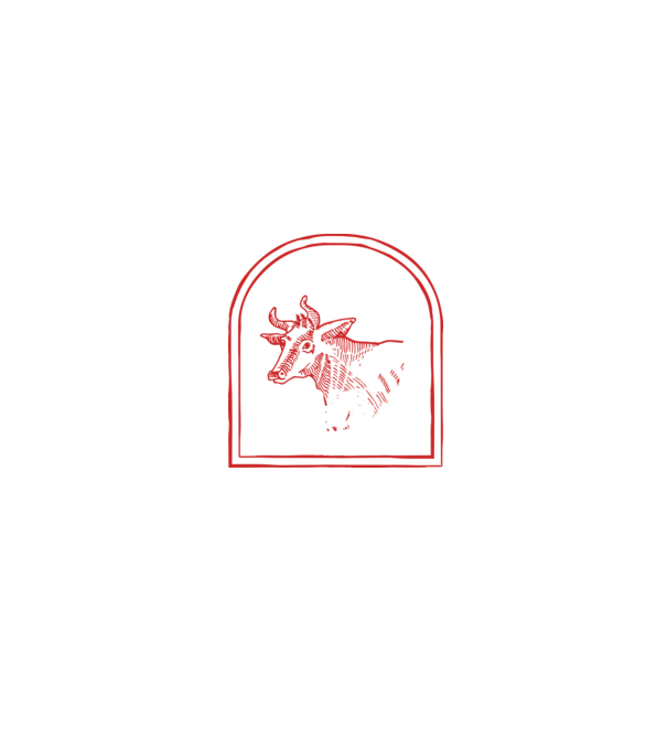 Festival BBQ - cu tata în grădina din spate! model negru pe tricou