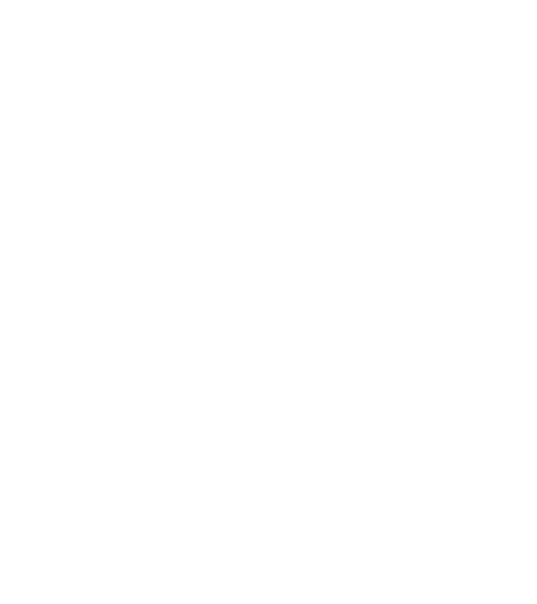 chitară evolution model negru pe tricou
