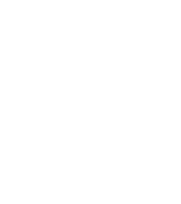 Nimeni nu e perfect, dar electricienii sunt foarte aproape model negru pe tricou