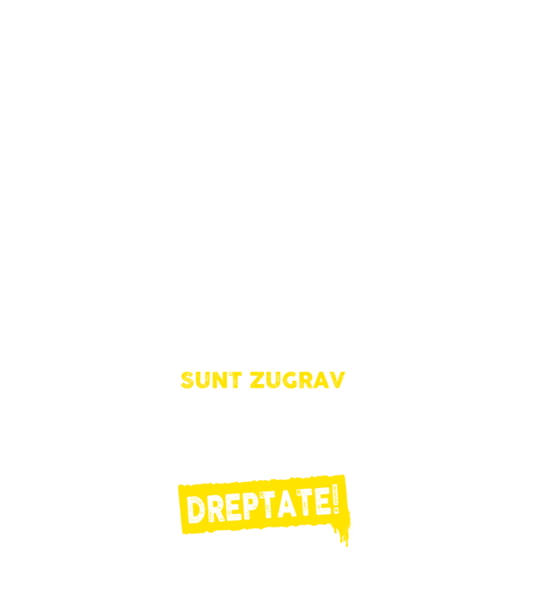 Sunt zugrav, pentru a economisi timp, să reținem că am întotdeauna dreptate! model alb pe tricou