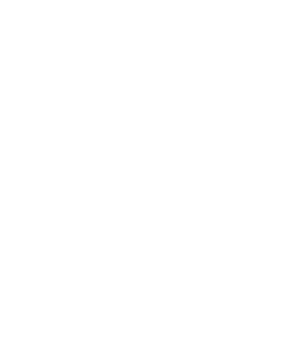 Crazy Cat Ladies are born in December model negru pe tricou