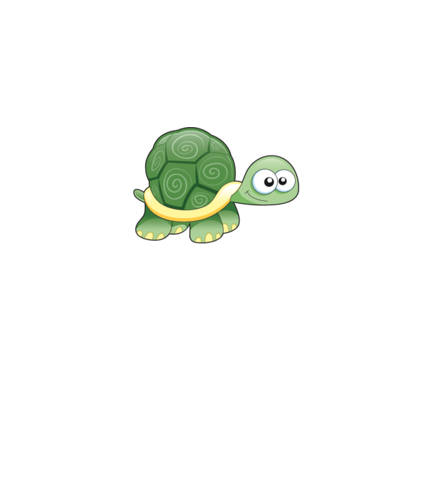 Turtle model gri pe tricou