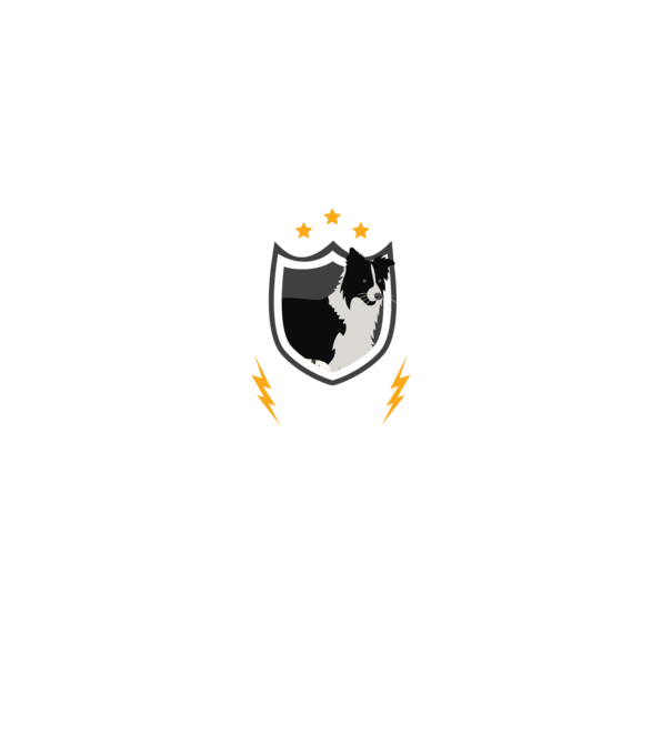 serviciu de securitate - securitate - persistență - 24 de ore pe zi model negru pe tricou