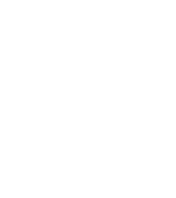 LOVE VIȘLĂ model negru pe tricou