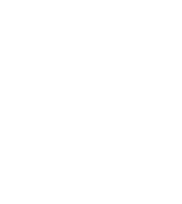 All men are created equal but only the best are born in february model negru pe tricou
