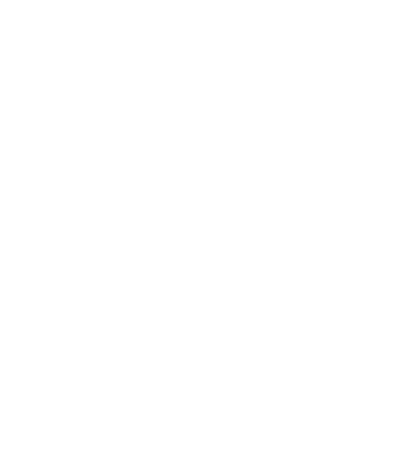 Regele - ceaunului! model negru pe tricou