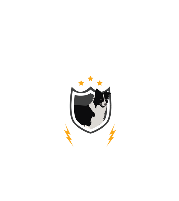 serviciu de securitate - securitate - persistență - 24 de ore pe zi model negru pe tricou