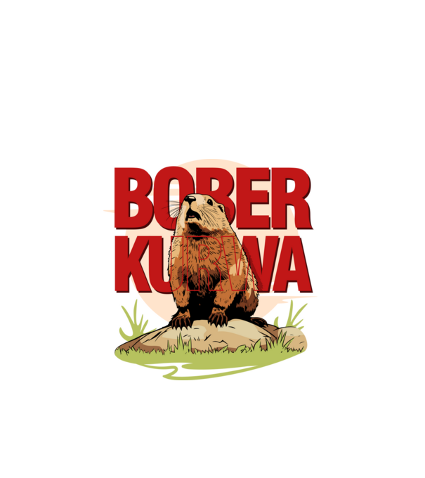 BOBER model alb pe tricou