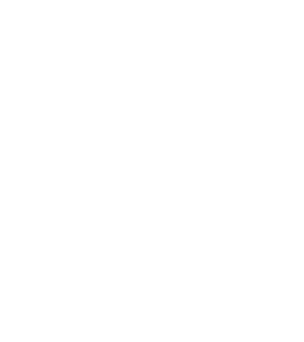 LOVE Staffordshire Terrier model gri pe tricou
