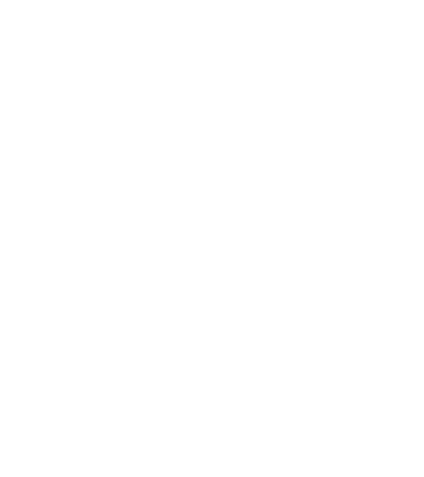 Zidarul model negru pe tricou